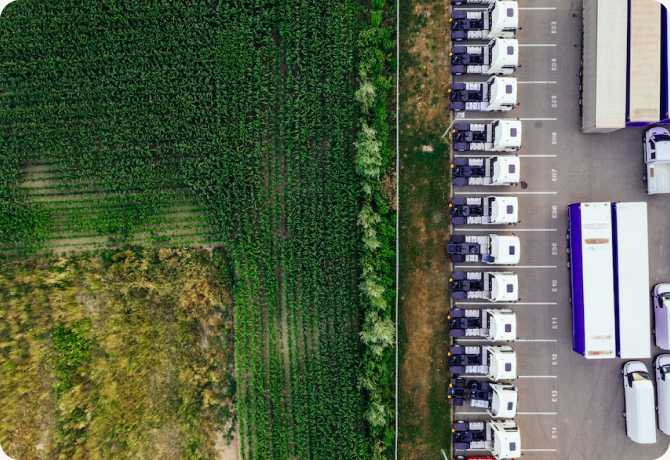 Streamline your import and export operations in Vietnam